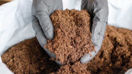 Cow Dung Exports